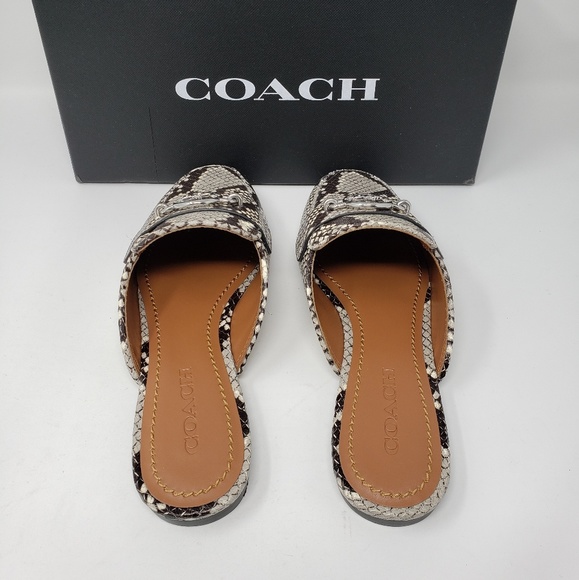 Brand New Coach Flat Shoes Snakeskin MSRP $195 - Picture 3 of 6